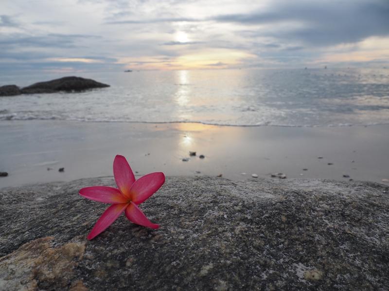 Mod Guesthouse Hua Hin Bagian luar foto